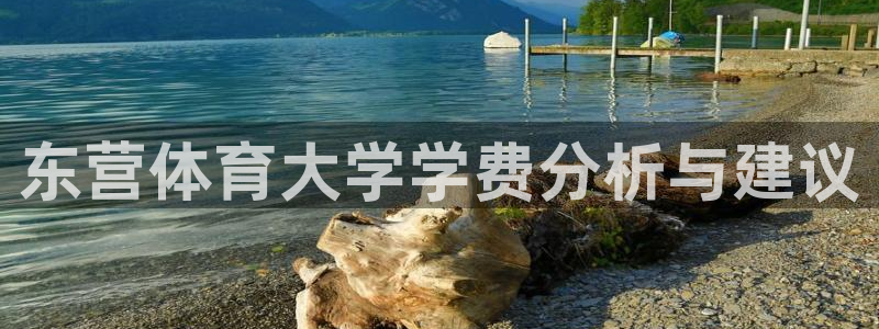 意昂体育3：东营体育大学学费分析与建议