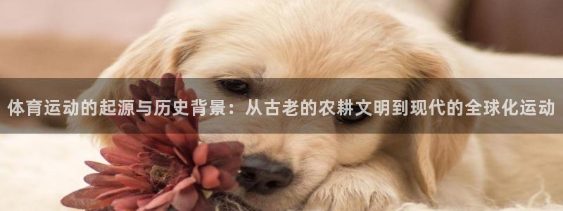 沐鸣2体育老板是谁：体育运动的起源与历史背景：从古老的农耕文明到现代的全球化运动