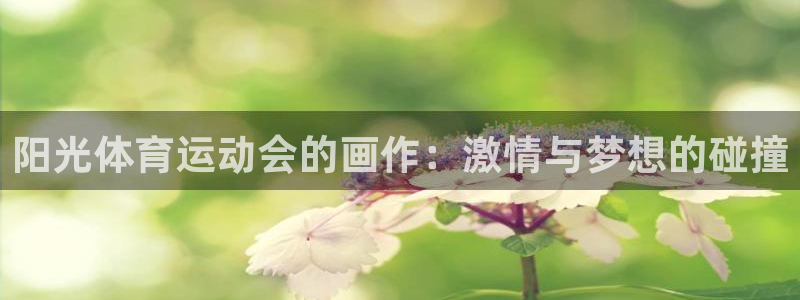 意昂注册：阳光体育运动会的画作：激情与梦想的碰撞