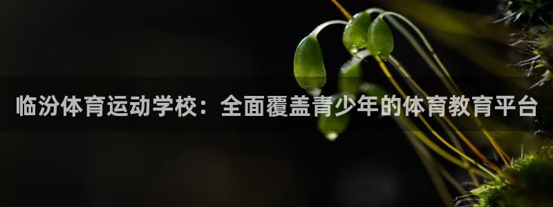 意昂的动画：临汾体育运动学校：全面覆盖青少年的体育教育平台