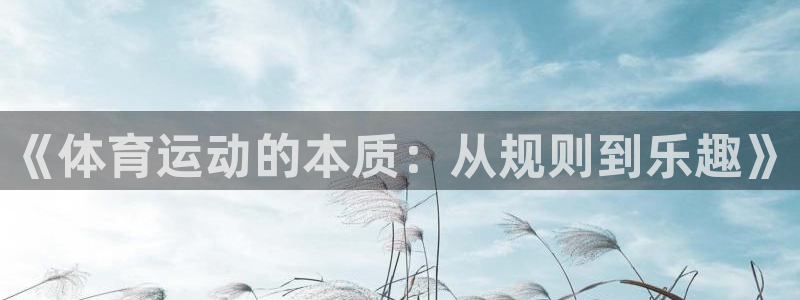 意昂包：《体育运动的本质：从规则到乐趣》