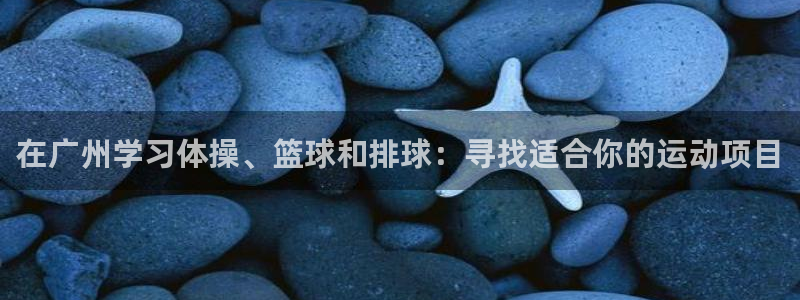 意昂平台：在广州学习体操、篮球和排球：寻找适合你的运动项目