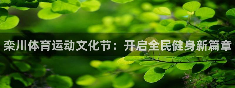 沐鸣2体育凯捷平台主管：栾川体育运动文化节：开启全民健身新篇章