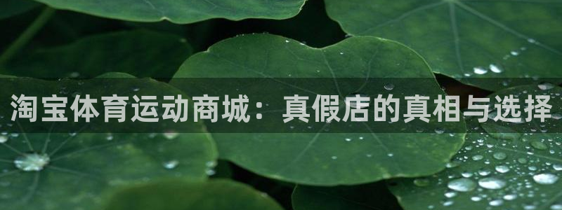 福建意昂机电股份公司：淘宝体育运动商城：真假店的真相与选择