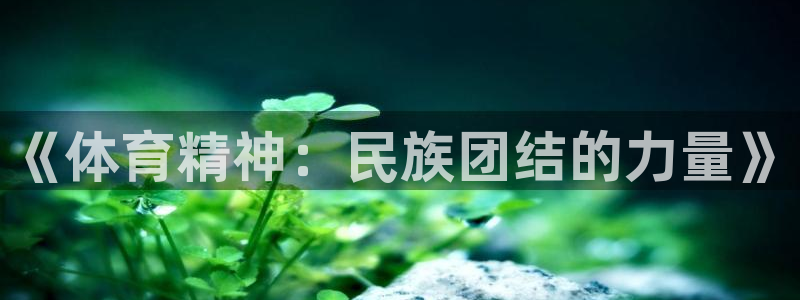 意昂4登录：《体育精神：民族团结的力量》