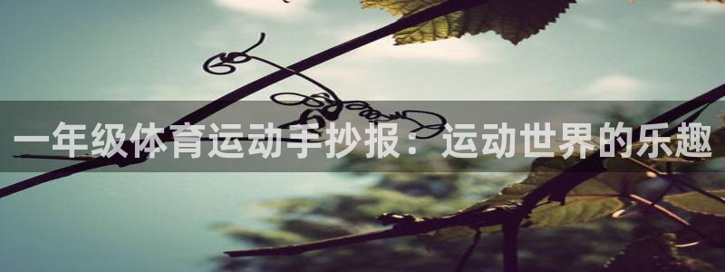 沐鸣23平台注册：一年级体育运动手抄报：运动世界的乐趣