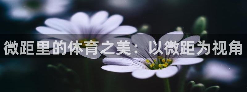 福建意昂机电股份公司：微距里的体育之美：以微距为视角